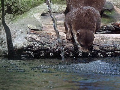 有逾期记录能入党么 有逾期记录能入党么