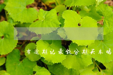 有逾期记录能分期买车吗 有逾期记录能分期买车吗