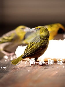 有逾期记录能办招行吗 有逾期记录能办招行吗