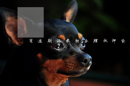 有逾期记录能办理抵押贷吗