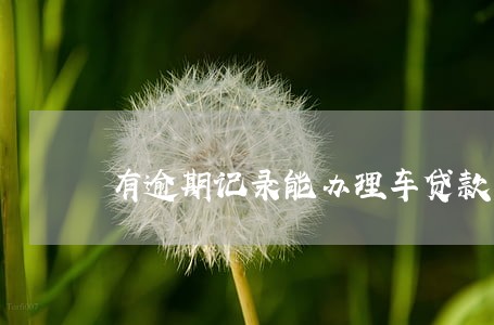 有逾期记录能办理车贷款