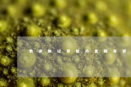 有逾期记录能办金融车贷