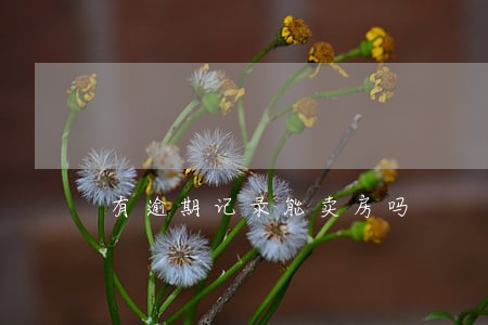 有逾期记录能卖房吗 有逾期记录能卖房吗