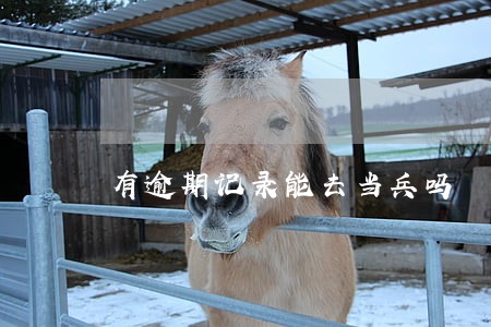 有逾期记录能去当兵吗 有逾期记录能去当兵吗