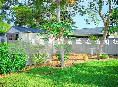 有逾期记录能在信用社贷款吗 有逾期记录能在信用社贷款吗