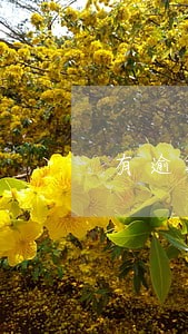 有逾期记录能在捷信货款吗 有逾期记录能在捷信货款吗