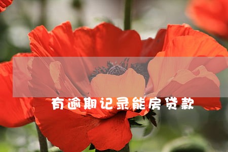 有逾期记录能房贷款 有逾期记录能房贷款