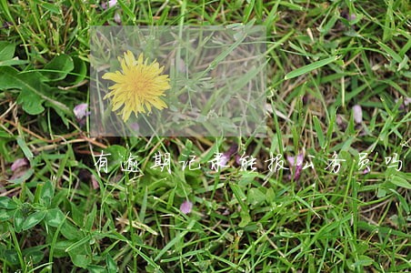有逾期记录能报公务员吗 有逾期记录能报公务员吗
