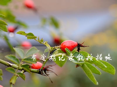 有逾期记录能按揭嘛 有逾期记录能按揭嘛