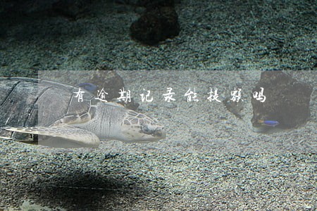 有逾期记录能提额吗
