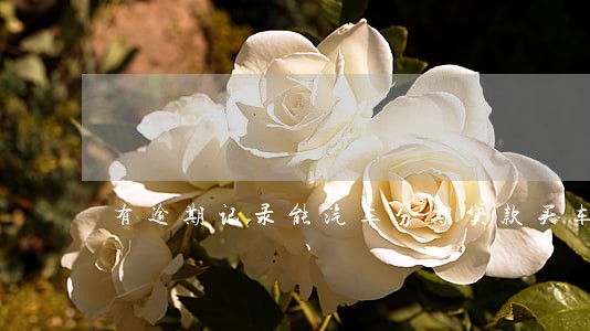 有逾期记录能汽车分期贷款买车 有逾期记录能汽车分期贷款买车