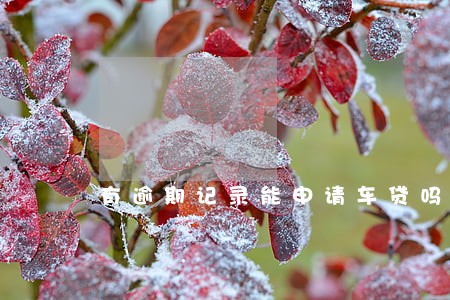 有逾期记录能申请车贷吗 有逾期记录能申请车贷吗