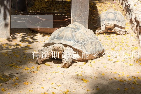 有逾期记录能考公务员吗 有逾期记录能考公务员吗