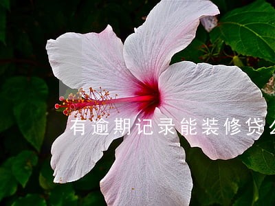 有逾期记录能装修贷么