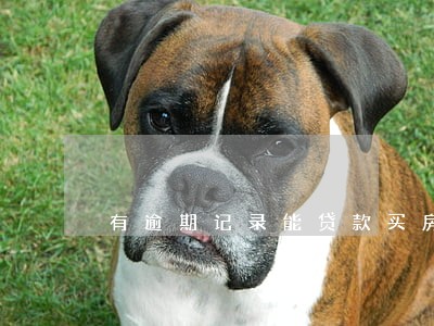 有逾期记录能贷款买房不 有逾期记录能贷款买房不