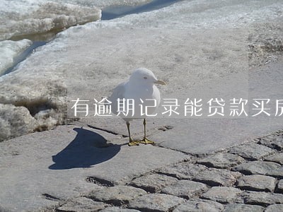 有逾期记录能贷款买房么 有逾期记录能贷款买房么