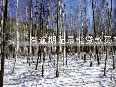 有逾期记录能贷款买车吗 有逾期记录能贷款买车吗