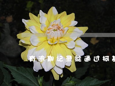 有逾期记录能通过柯基贷吗 有逾期记录能通过柯基贷吗