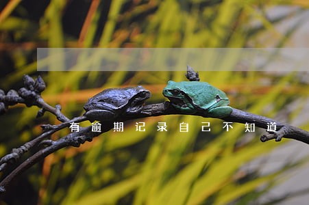 有逾期记录自己不知道 有逾期记录自己不知道