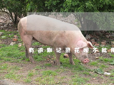 有逾期记录花呗不能用怎么办