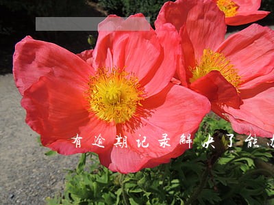 有逾期记录解决了能办理车贷吗 有逾期记录解决了能办理车贷吗