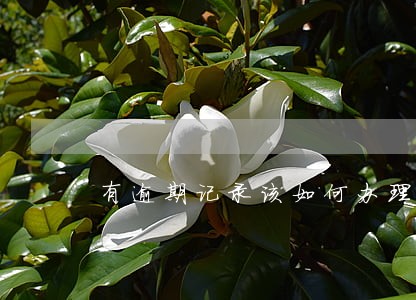 有逾期记录该如何办理房贷 有逾期记录该如何办理房贷
