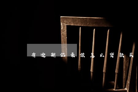 有逾期记录该怎么贷款买车 有逾期记录该怎么贷款买车