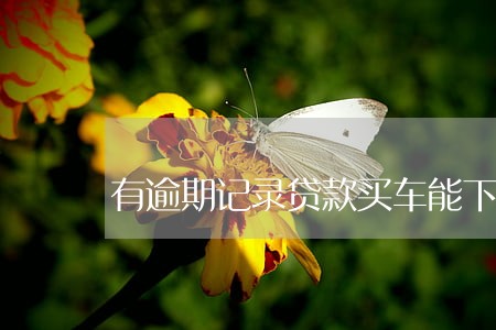 有逾期记录贷款买车能下款吗 有逾期记录贷款买车能下款吗