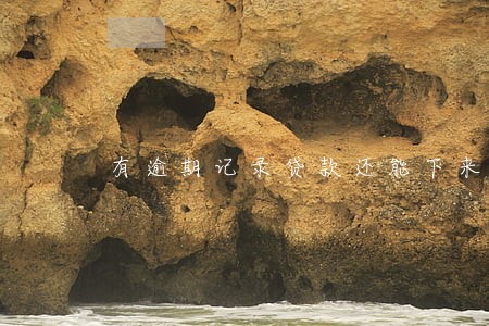 有逾期记录贷款还能下来吗