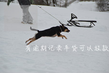 有逾期记录车贷可以放款吗 有逾期记录车贷可以放款吗