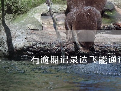有逾期记录达飞能通过吗 有逾期记录达飞能通过吗