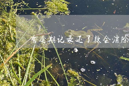 有逾期记录还了款会消除吗 有逾期记录还了款会消除吗