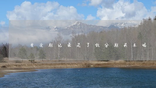 有逾期记录还了能分期买车吗 有逾期记录还了能分期买车吗