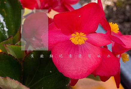 有逾期记录还可以办理卡吗 有逾期记录还可以办理卡吗
