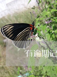 有逾期记录还可以办车贷吗 有逾期记录还可以办车贷吗