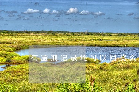 有逾期记录还可以网贷么