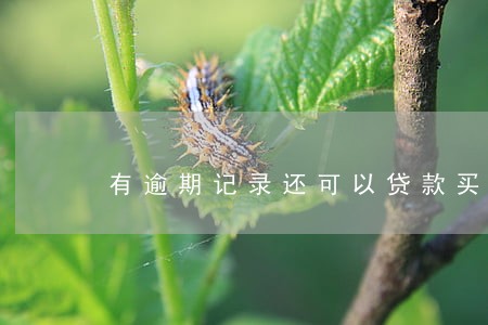 有逾期记录还可以贷款买手机吗