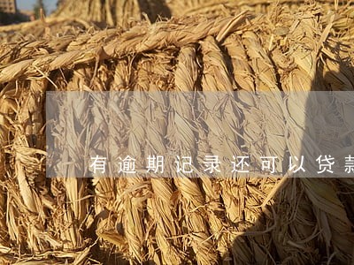 有逾期记录还可以贷款买车 有逾期记录还可以贷款买车