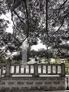 有逾期记录还好申请信用卡吗 有逾期记录还好申请信用卡吗