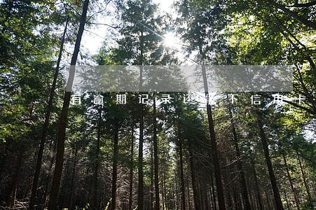 有逾期记录还能下信用卡吗 有逾期记录还能下信用卡吗