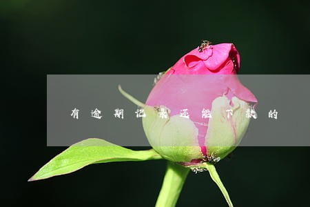 有逾期记录还能下款的 有逾期记录还能下款的