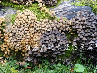 有逾期记录还能买房贷款吗 有逾期记录还能买房贷款吗