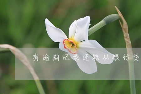 有逾期记录还能从银行贷款吗 有逾期记录还能从银行贷款吗