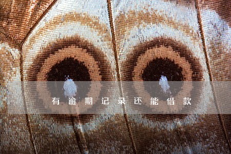 有逾期记录还能借款 有逾期记录还能借款