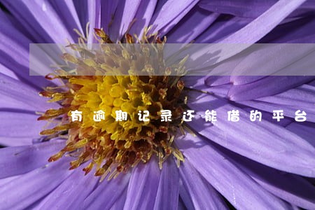 有逾期记录还能借的平台 有逾期记录还能借的平台