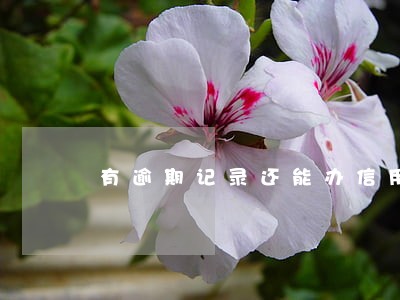 有逾期记录还能办信用卡吗