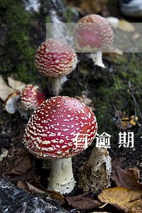 有逾期记录还能办理房贷吗 有逾期记录还能办理房贷吗