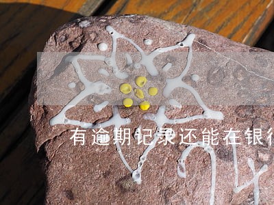 有逾期记录还能在银行贷款吗 有逾期记录还能在银行贷款吗