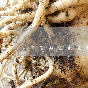 有逾期记录还能申请信用卡