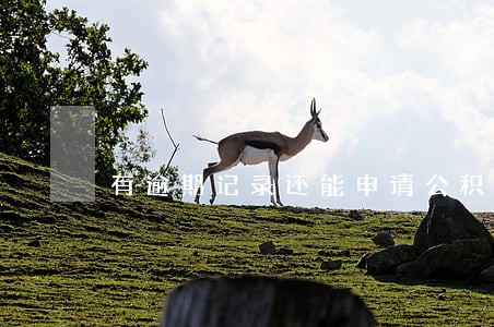 有逾期记录还能申请公积金贷吗 有逾期记录还能申请公积金贷吗
